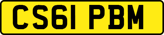 CS61PBM