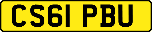 CS61PBU