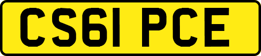 CS61PCE