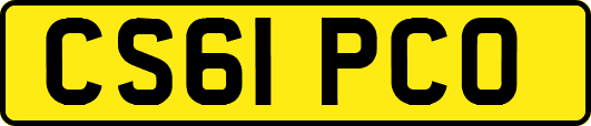 CS61PCO