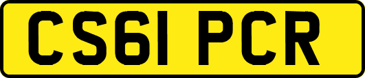 CS61PCR