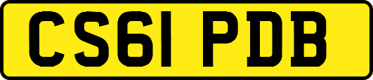CS61PDB