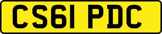 CS61PDC