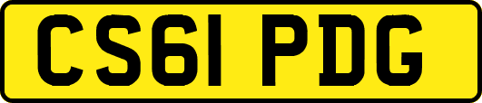 CS61PDG