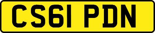 CS61PDN