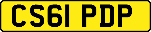 CS61PDP