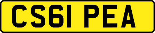 CS61PEA