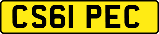 CS61PEC