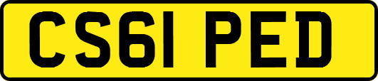 CS61PED