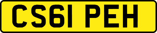 CS61PEH