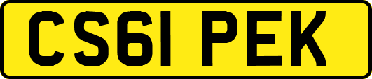 CS61PEK