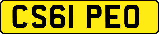 CS61PEO