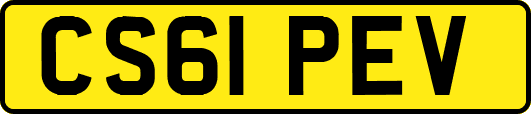 CS61PEV