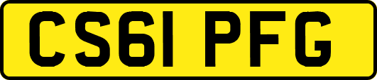 CS61PFG