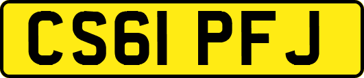 CS61PFJ