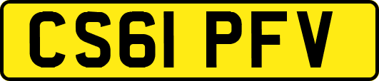 CS61PFV