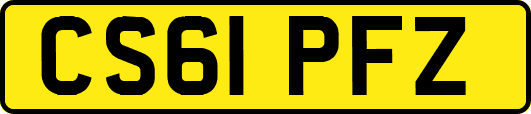 CS61PFZ