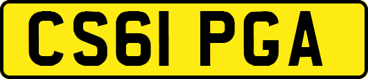 CS61PGA