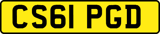 CS61PGD