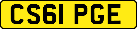 CS61PGE