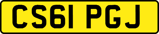 CS61PGJ