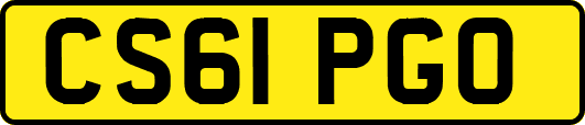 CS61PGO