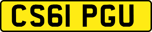 CS61PGU