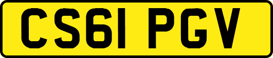 CS61PGV