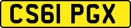 CS61PGX