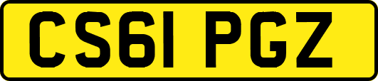 CS61PGZ