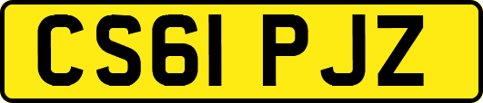 CS61PJZ