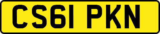 CS61PKN