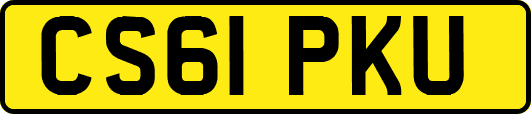 CS61PKU