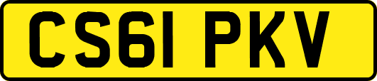 CS61PKV