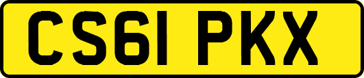 CS61PKX