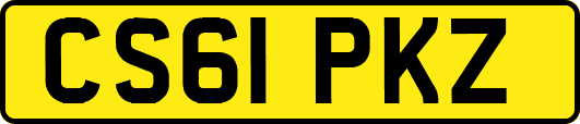 CS61PKZ