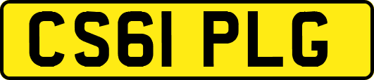 CS61PLG