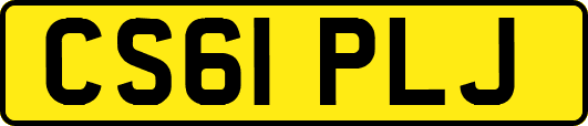 CS61PLJ