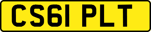 CS61PLT