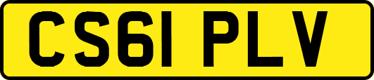 CS61PLV