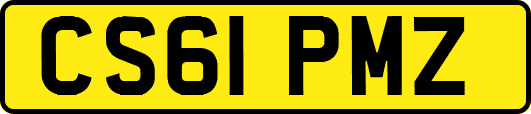 CS61PMZ