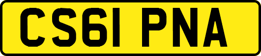 CS61PNA