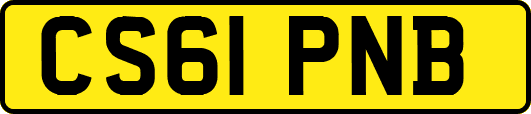CS61PNB