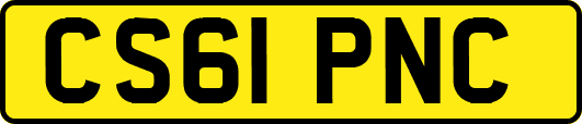 CS61PNC