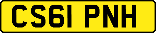 CS61PNH