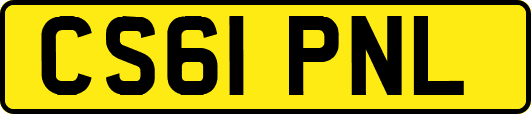 CS61PNL