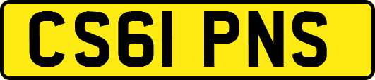 CS61PNS