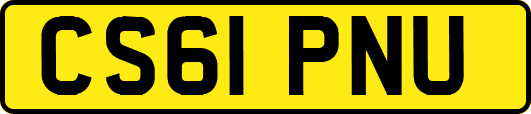 CS61PNU