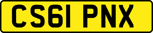 CS61PNX