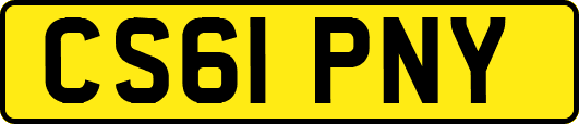 CS61PNY
